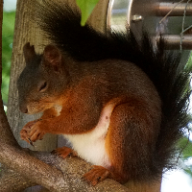 User profile picture